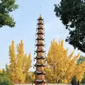 Explore Chengdu like a native: Chinese Buddhism and Leisure life 