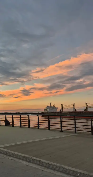 Tour Gratuito Porto Nord ⚓️🏗🚢+ Museo MACRO🌆