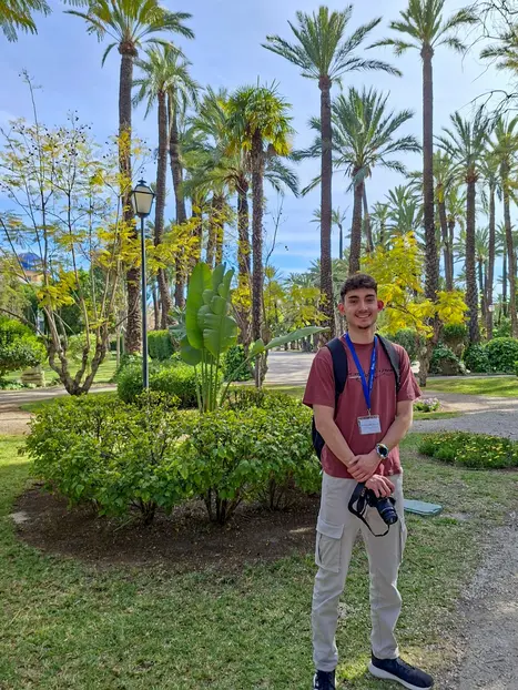 🌴 Desubre Elche: El Oasis con 3 Patrimonios de la Humanidad🌴