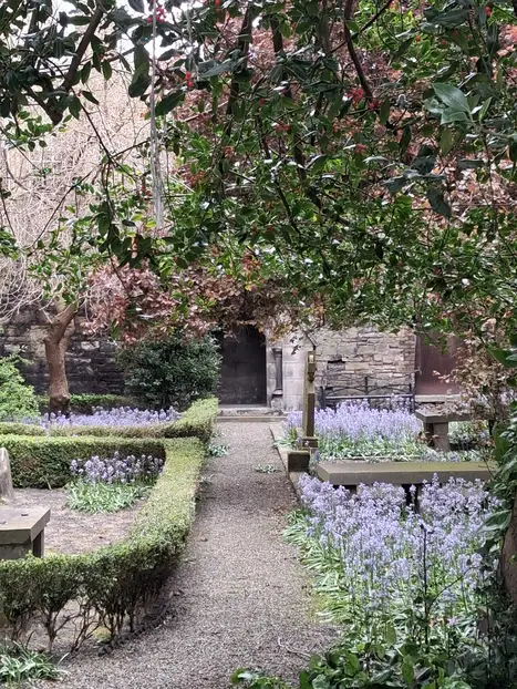 Jardines y alta sociedad de Dublín 