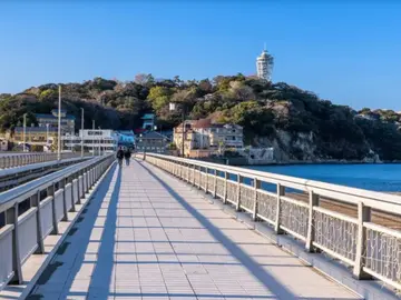 Enoshima Walking Free Tour — Shrines, Ocean Views & Local Snacks