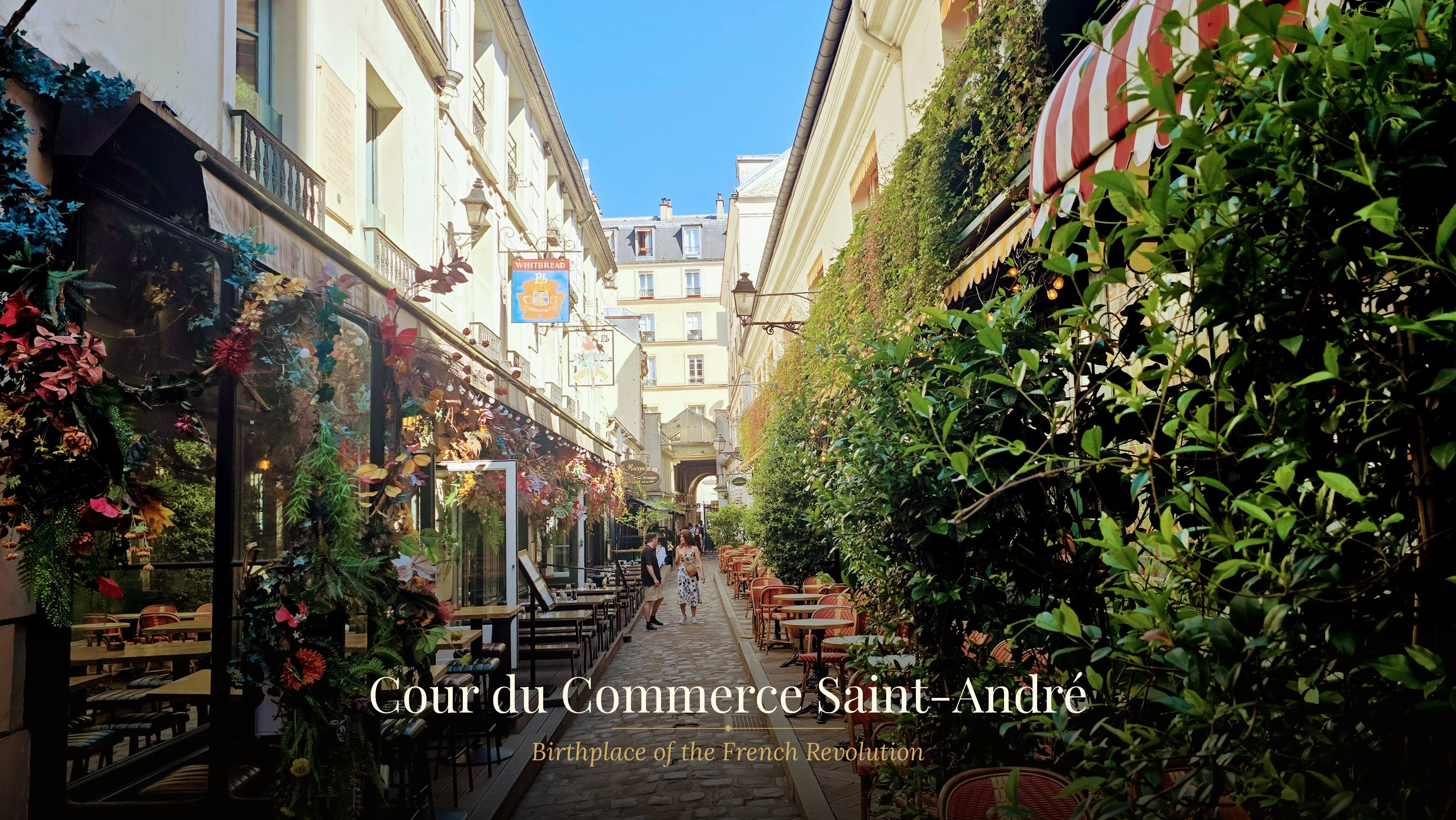 Iconic tour of the old Paris, Saint-Germain and Saint-Michel Area
