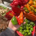 🌶️ Lima Street Food Tour by Crazy Guide 🤪