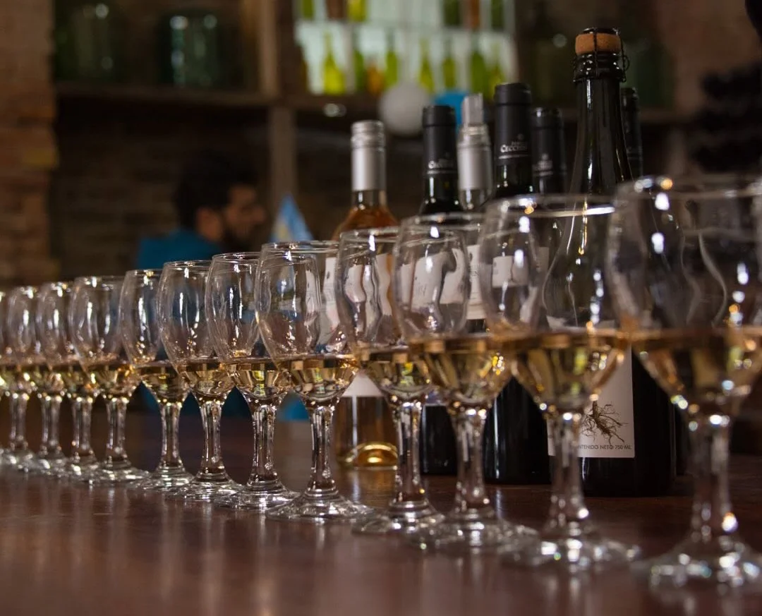 Tour a piedi: Mendoza, Terra di Vini