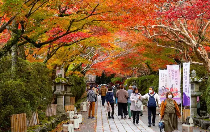 Ishiyama-dera-Tempel: Geschichte, Legenden und saisonale Schönheit