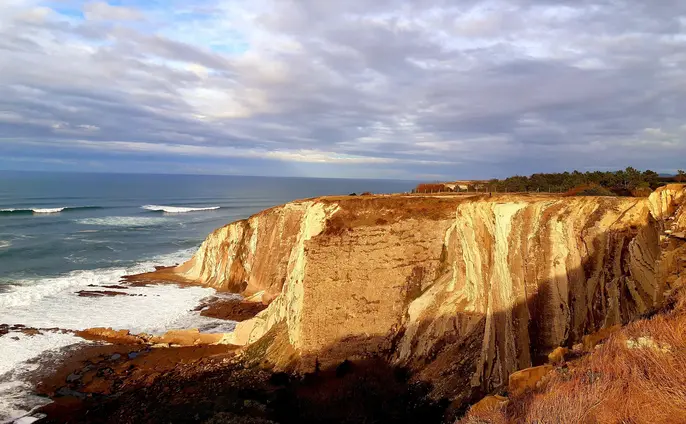 Coastal Walkers  ~                                                                        ¡Enjoy the Coast & Stay Active!                                                     