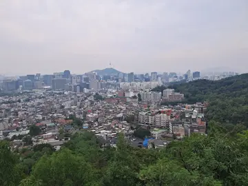 Hidden Gem in Seoul - A Serene Slow Walk from Seochon to Buam-dong with a Certified Guide 