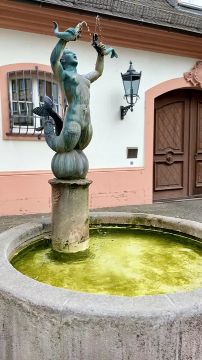 Tour image 6