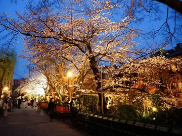 Kioto Invisible: Historias Prohibidas y Misterios