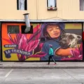 Walking tour through Valparaíso (graffiti school by reservation only)