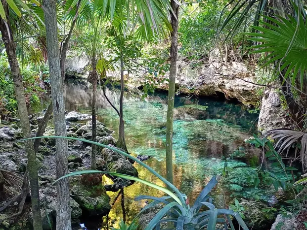 Free bike tour to 4 cenotes through the Mayan nature