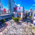 Shibuya: Del Caos Urbano al Bosque Sagrado – Free Tour en español