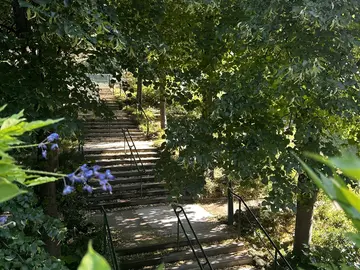 Coulée Verte - The Green Escape of Paris!