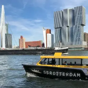 Rotterdam Guide