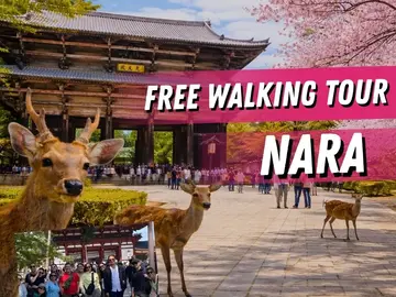 Free walking tour di Nara: la città dei cervi