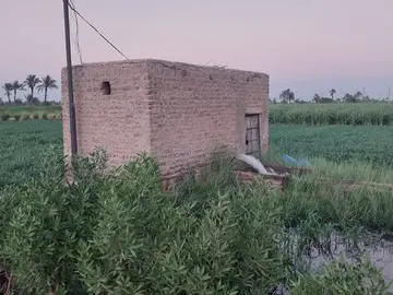 Discover Luxor by Bike: Fields, Villages & Mountains