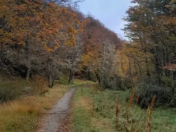 Tour histórico y natural por el Camino de los Presos hasta cascada Nahiara