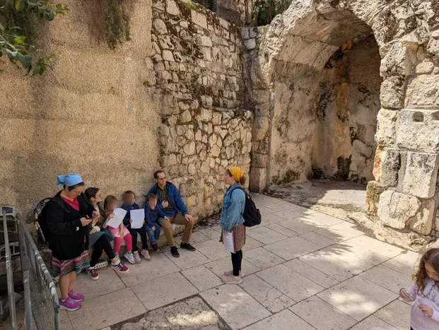Free Walking Tour: Jerusalem's Old City, from Jaffa Gate to the Western Wall