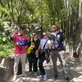 Zona Rosa, Ángel de la Independencia y Bosque de Chapultepec: lo esencial de la Avenida de la Reforma