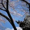 🌸Folded Millennia — Small Group Walking Reverie Through Kyoto's Living Time-Labyrinth(Limited to 6 Guests)