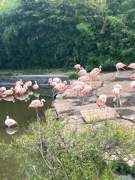 Tra alberi e memorie: Palermo essenziale.