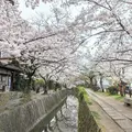 Local Life in Sakyo Ward - From Ginkaku-ji to Heian Shrine