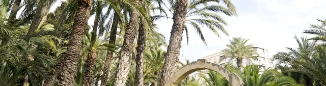 Elche