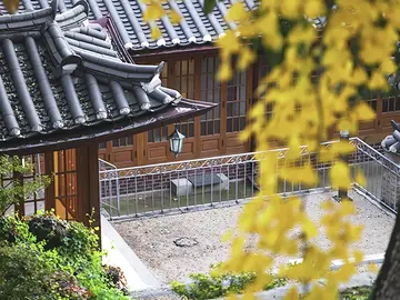 Seoul, Seochon Uncovered : Historical Walking From a Public Hanok into the Neighborhood