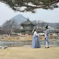 Im Inneren von Gyeongbokgung: Geschichte, Macht & Verborgene Geschichten