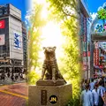 ⛩️ SHIBUYA + HARAJUKU ⛩️ De la modernidad a lo sagrado - Shibuya Cross, Nonbei Yokocho, Meiji Shrine, Takeshita Street, y MÁS.!
