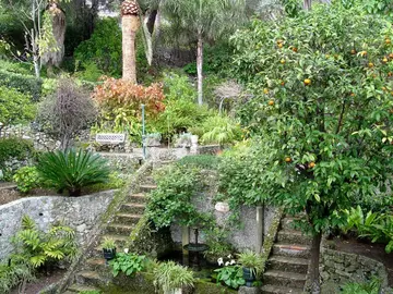 Desde Casemates Square hasta los Jardines Botánicos de Alameda con paradas.