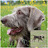 Friederike