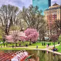 Essential Boston Free Tour: History, Culture and Local Life
