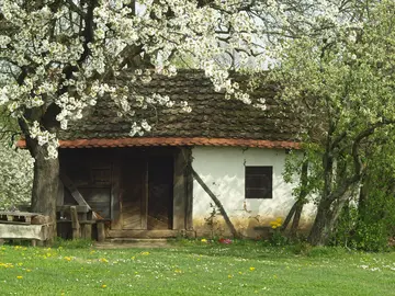 Wanderung durch die Natur und Weinberge