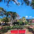 Horta City Walking Tour – Volcanoes, History & Lifestyle of Faial Island 