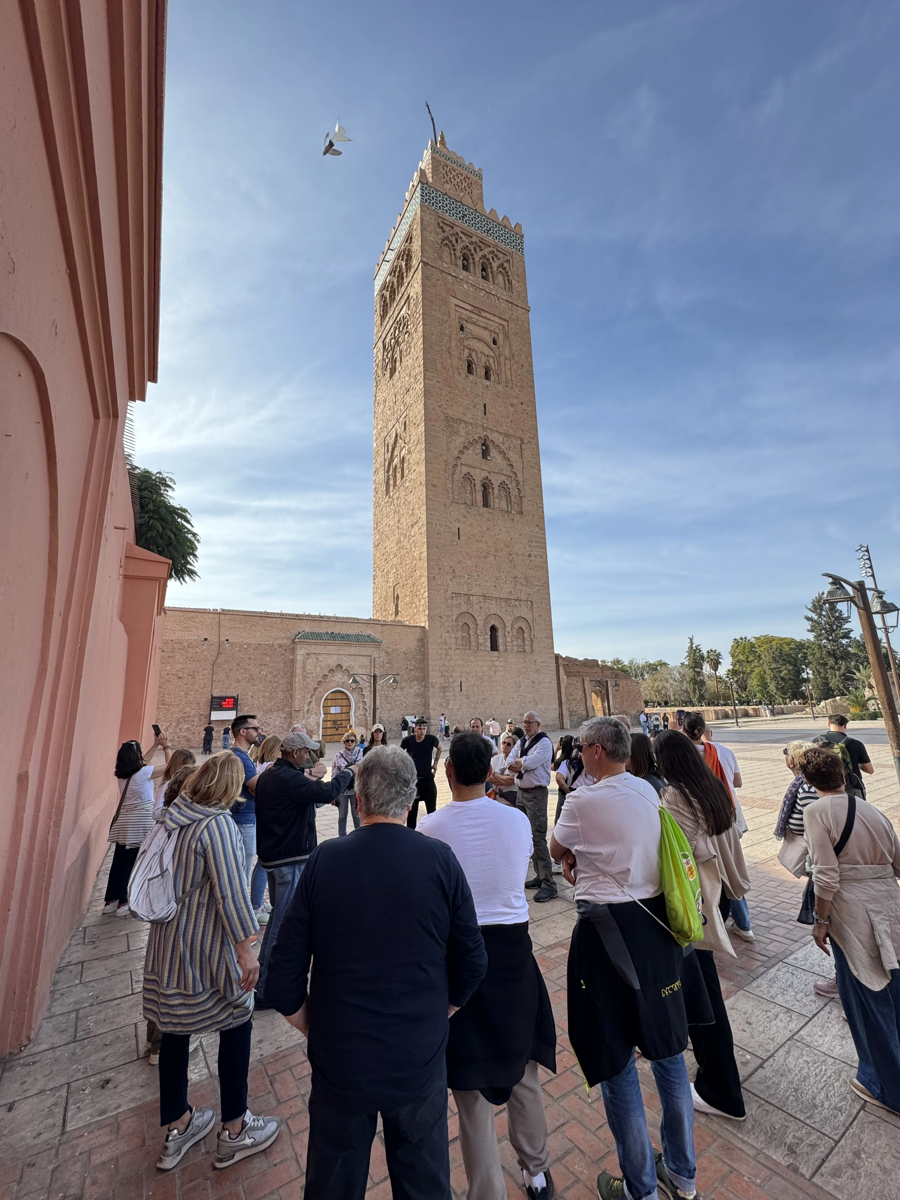 Recorriendo Marrakech