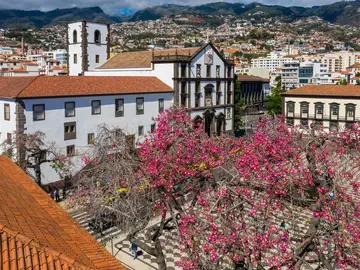 500 Years in Two Hours: The Funchal Historical Walk