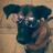 Rethse_