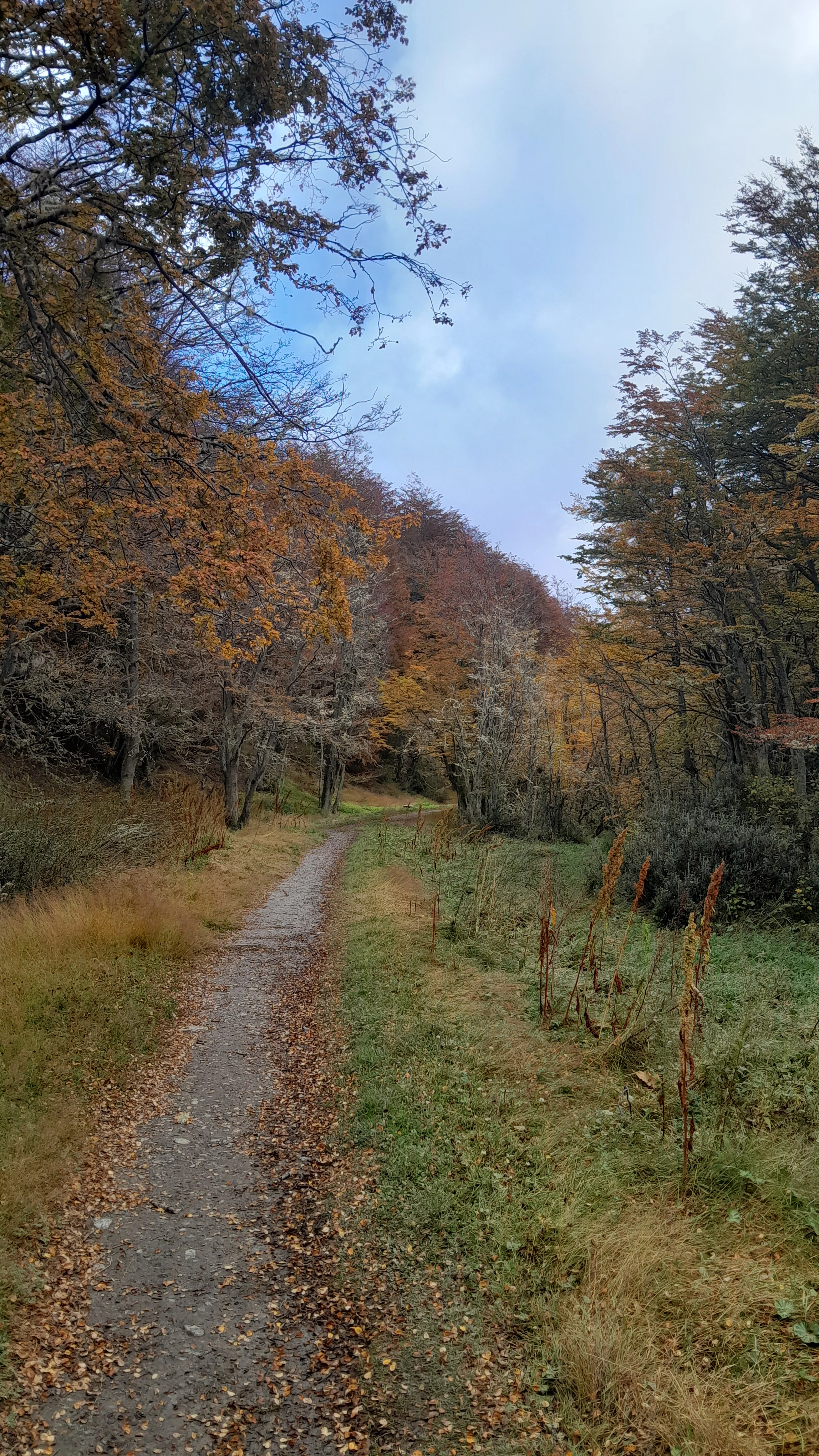Historical and natural tour along the Prisoners' Path to Nahiara waterfall
