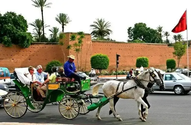 Tour image 4