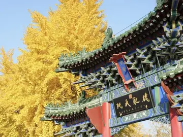 Recorriendo 3,600 Años de Zhengzhou: Capital Shang, Casco Antiguo, Murallas de la Ciudad, Parques, Museos y Templos