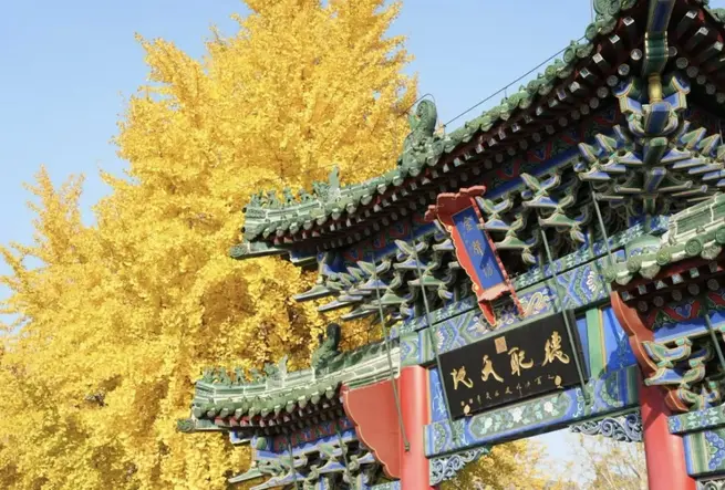 Recorriendo 3,600 Años de Zhengzhou: Capital Shang, Casco Antiguo, Murallas de la Ciudad, Parques, Museos y Templos