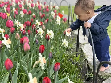 Respira el Lado Tranquilo de Ottawa