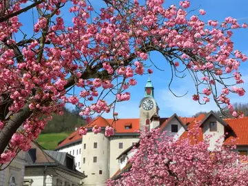 Bajo la superficie: el viaje de Idrija a la UNESCO