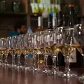 Mendoza, Tierra de Vinos