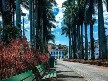 Tour storico attraverso il centro della città!