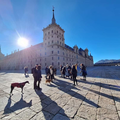Free Tour San Lorenzo de El Escorial and La Herrería Forest with and without a dog.