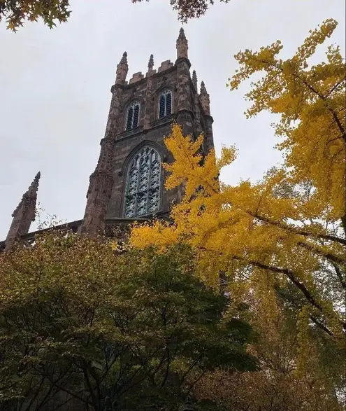 Tour image 1