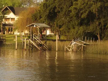 Il Delta Utopico: Arte, Funghi e Storia con un Locale