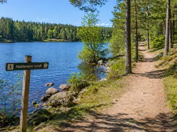 Recorrido filosófico por la naturaleza de Oslo